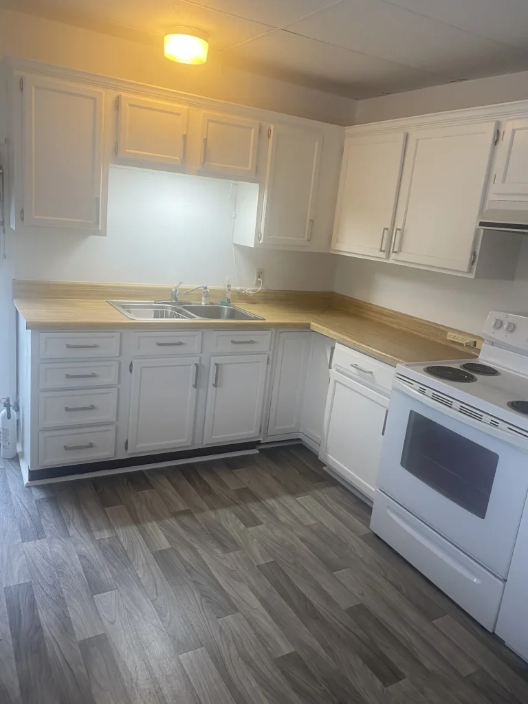 907 Monroe St, Lapeer: kitchen